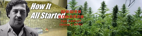 марки nbome Абаза