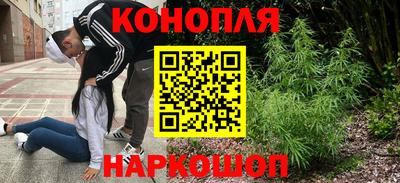 сатива Чебаркуль
