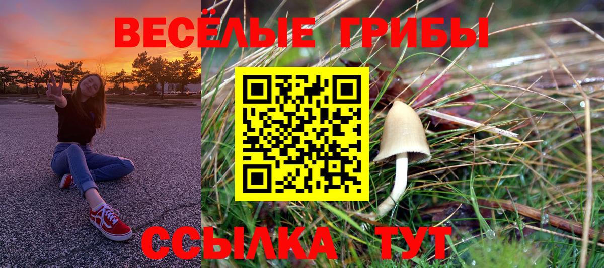 Галлюциногенные грибы Psilocybine cubensis  как найти наркотики  Галлюциногенные грибы Cubensis  Смоленск  Вход с VPN 