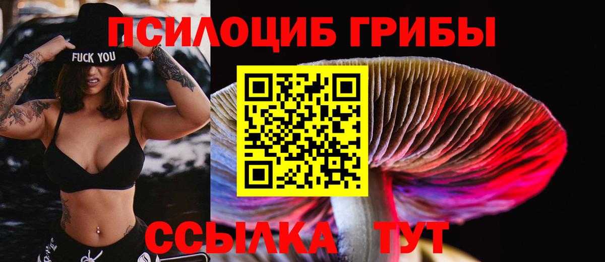 Псилоцибиновые грибы ЛСД Смоленск